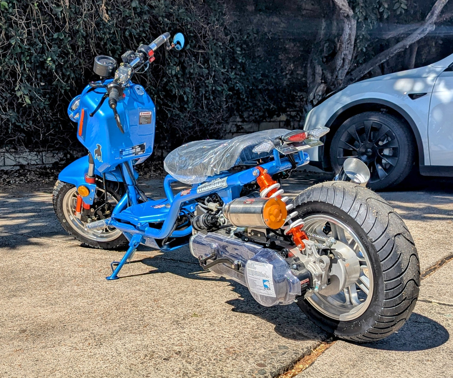 Icebear Maddog Gen IV 150cc (PMZ150-21)