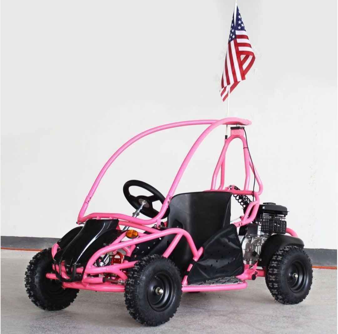 DF80GKS Kids Go-Kart β Full Roll Cage, Rear Suspension & Disc Brake