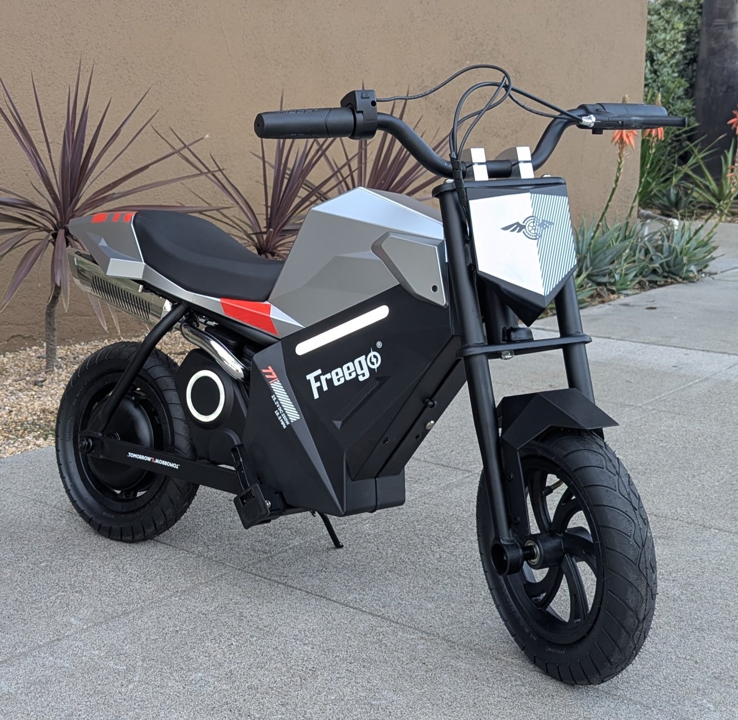 Freego K1 Kids Electric Dirt Bike 350W