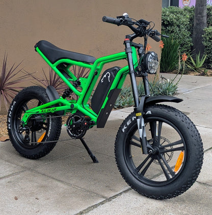 X500 Dirt Bike E-Bike 500W