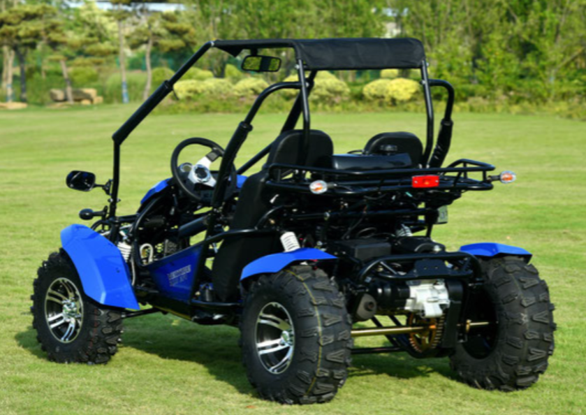 Vitacci Venture 200cc EFI Gokart