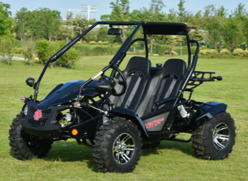 Vitacci Venture 200cc EFI Gokart