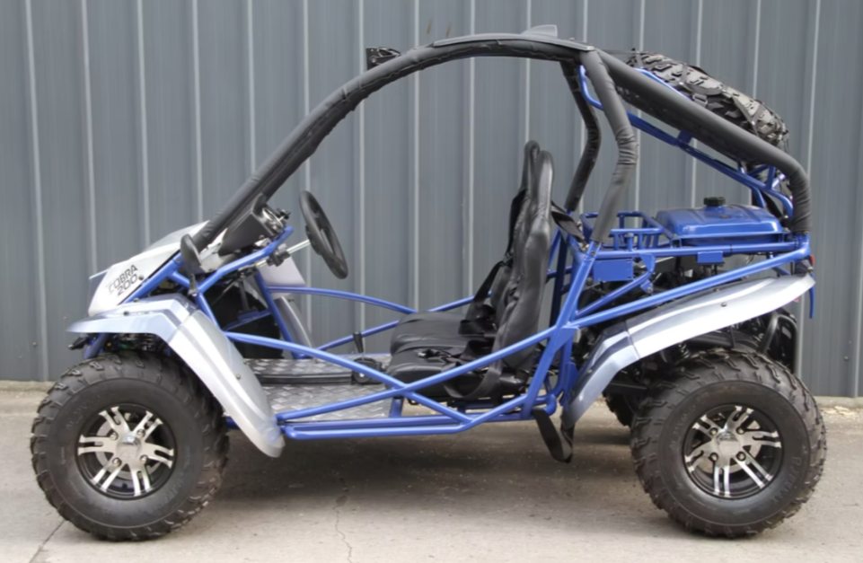 RPS Corba Gokart 200cc