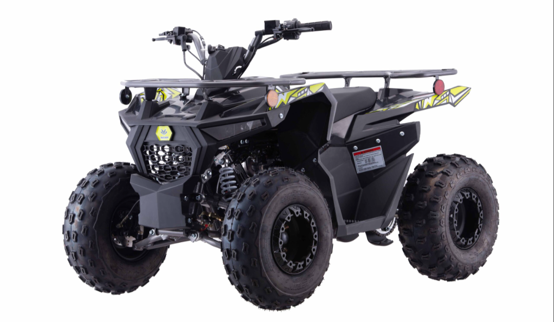 Pentora Iride 125cc utility