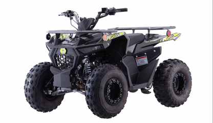 Pentora Iride 125cc utility